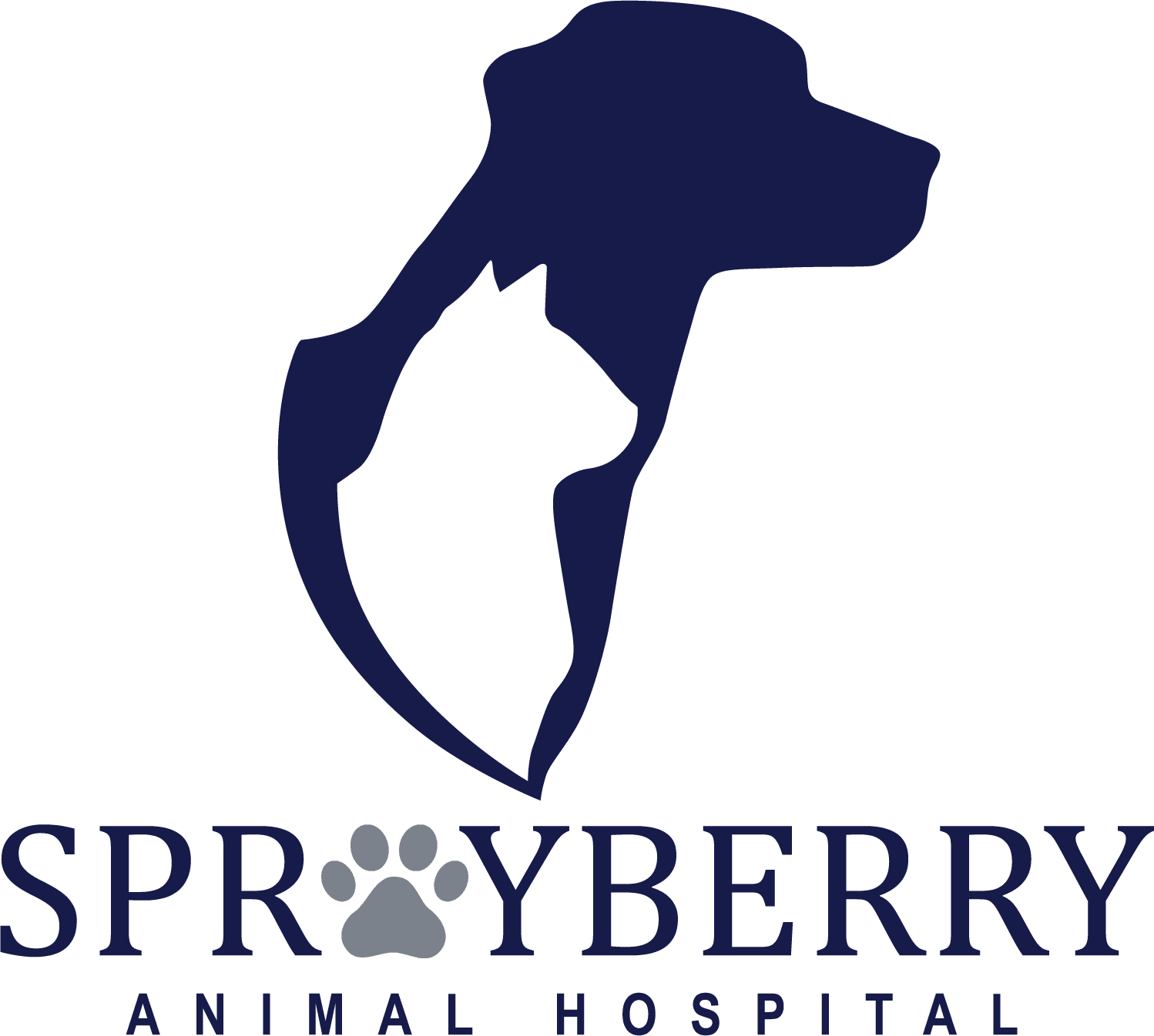 Dog and Cat Veterinary Care in Marietta - Sprayberry Animal Hospital