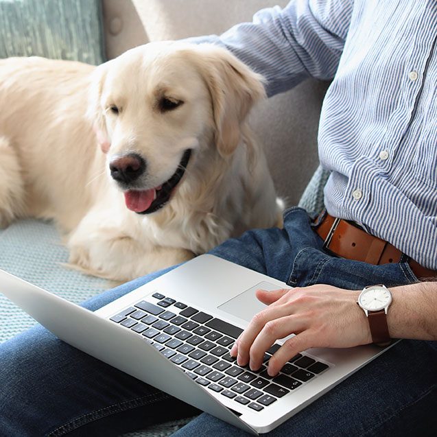 man with dog on couch and computer