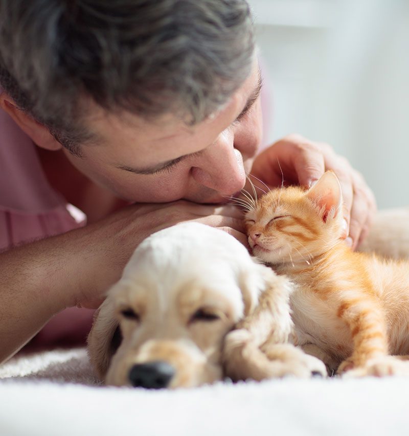 Cat and dog sleeping together next to a man. Kitten and puppy taking nap with owner. Home pets. Animal care. Love and friendship. Domestic animals.