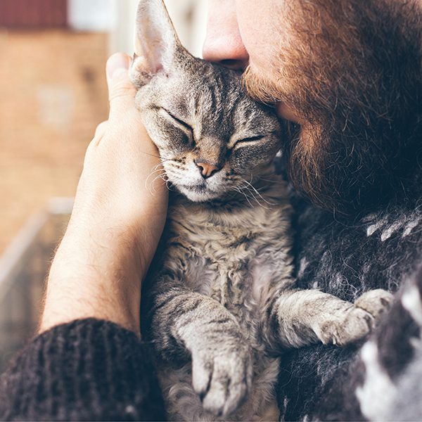 Man kissing a cat on the head